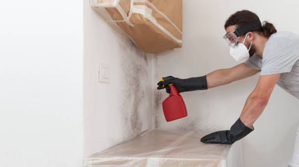 Professional Crawl Space Mold Remediation technician working in Lakeland, NY